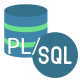 Oracle PL/SQL