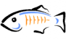 Image for GlassFish category