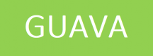 Guava Training in the UK