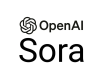 Sora Training in the UK