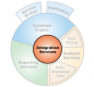 SSIS Training in the UK
