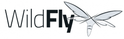 Wildfly Training in the UK