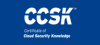 Cloud Security Alliance (CSA)